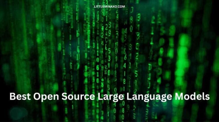 Open Source Large Language Models