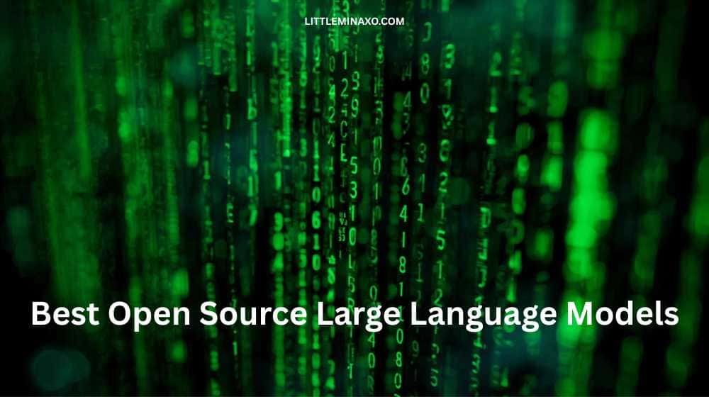 Open Source Large Language Models