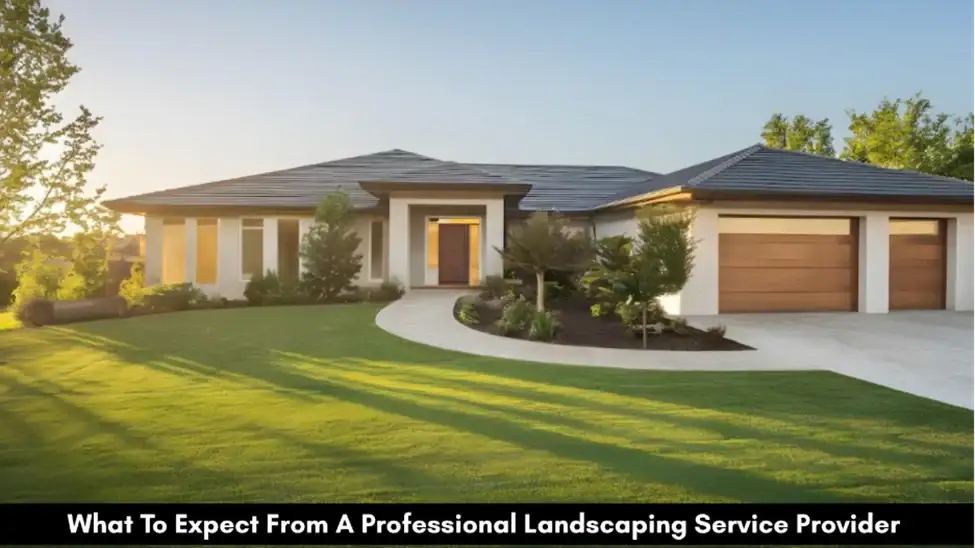What To Expect From A Professional Landscaping Service Provider