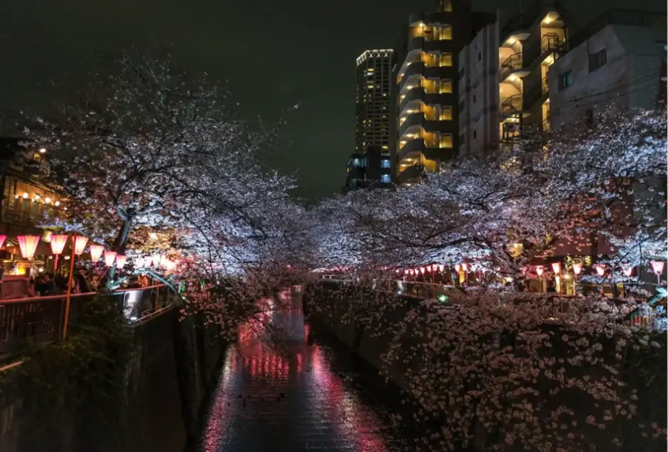 Seamless Design Alignment Across Outdoor Spaces